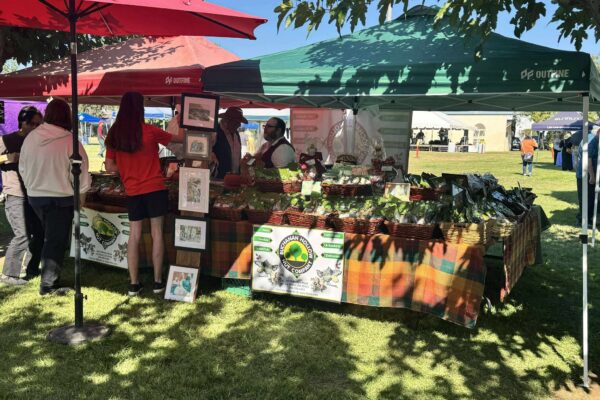Merced County Nut Festival